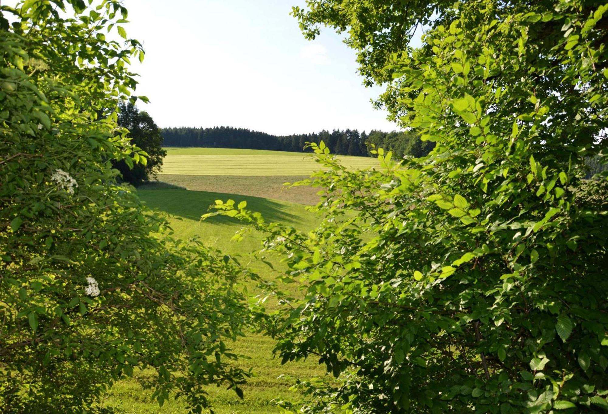 Ferienhof Verse Lennestadt Exterior foto